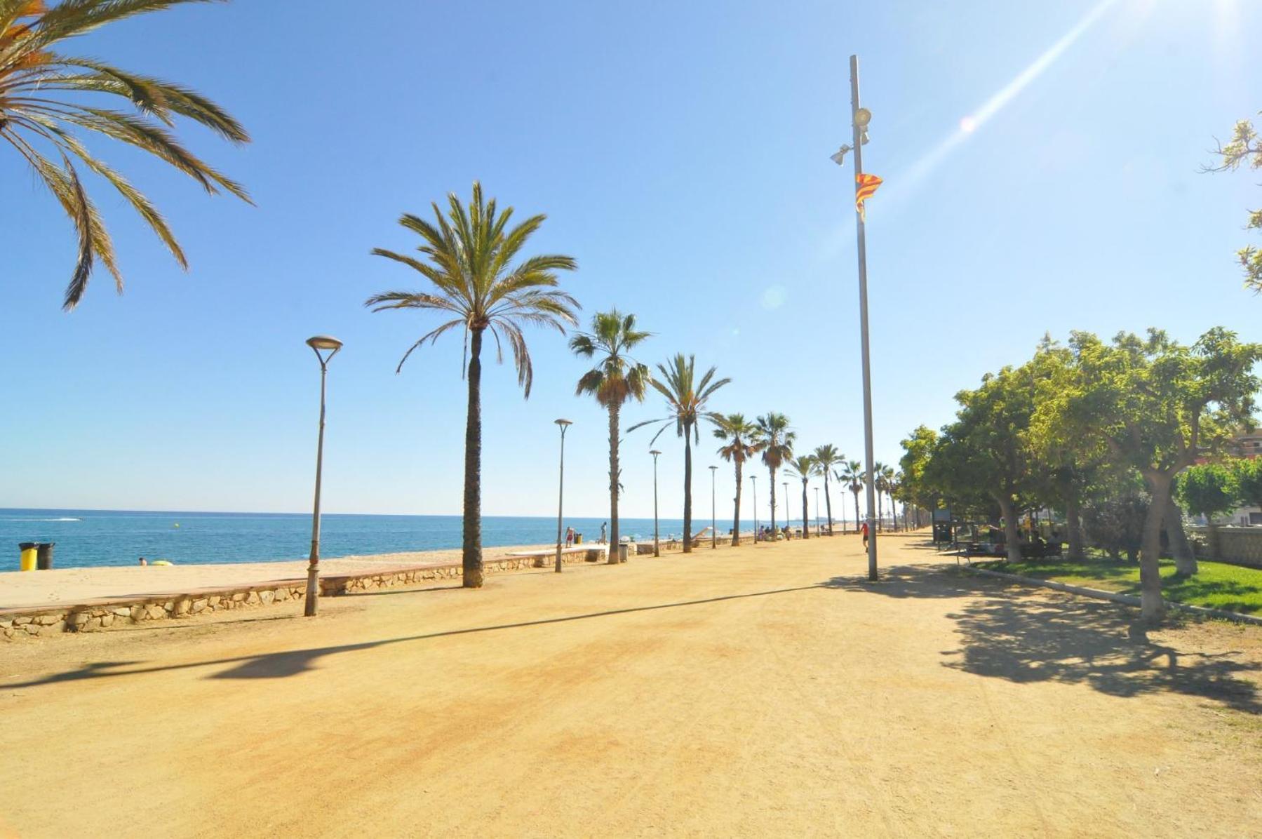 Homeholidaysrentals Palm Beach - Costa Barcelona Canet De Mar Exterior photo