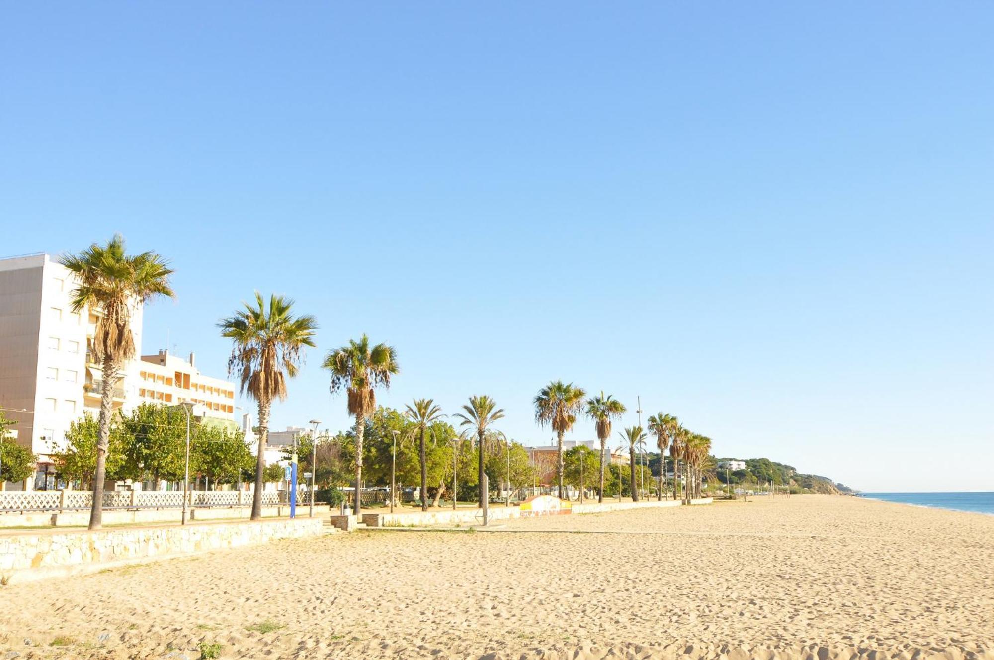 Homeholidaysrentals Palm Beach - Costa Barcelona Canet De Mar Exterior photo