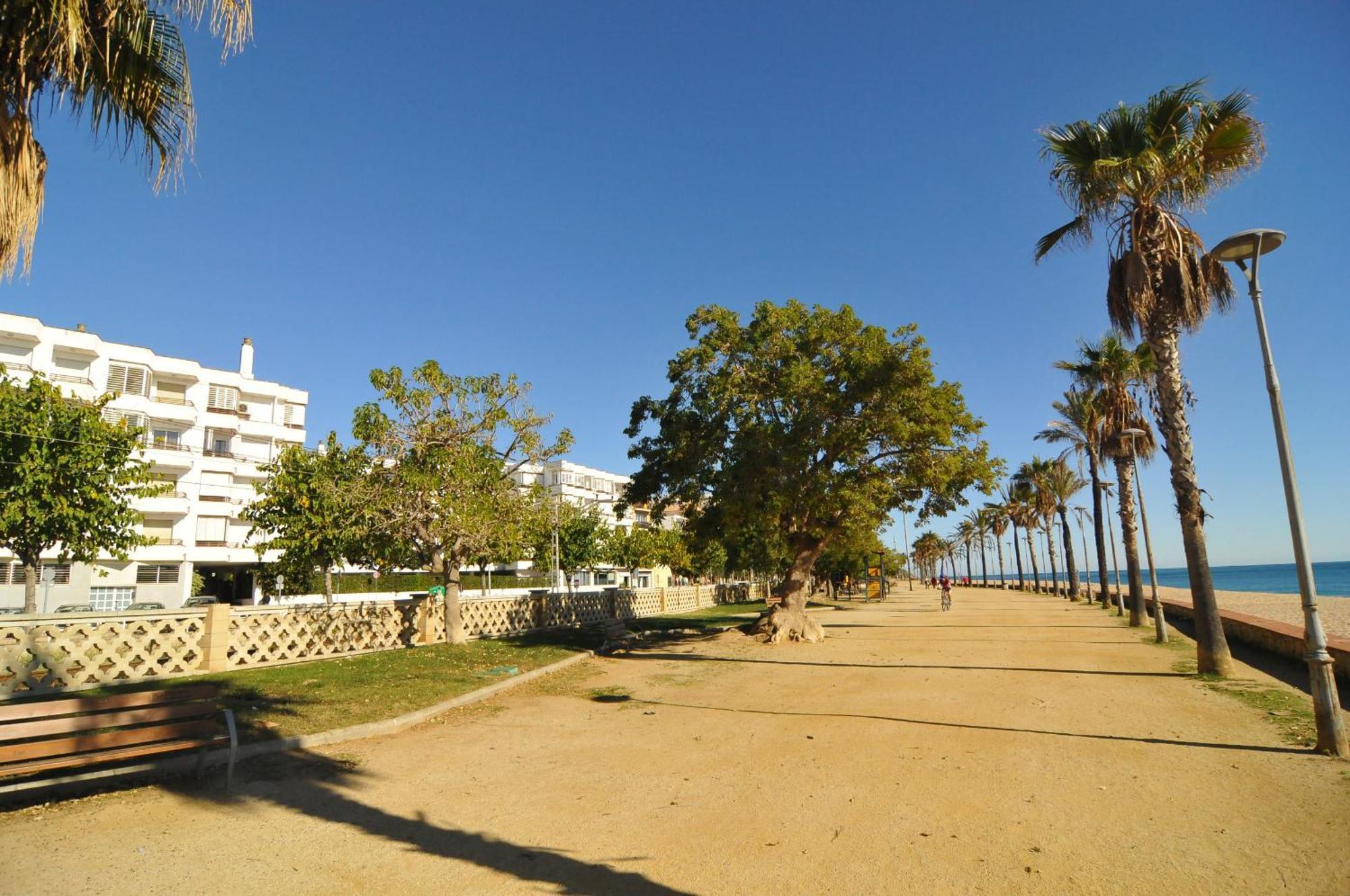 Homeholidaysrentals Palm Beach - Costa Barcelona Canet De Mar Exterior photo