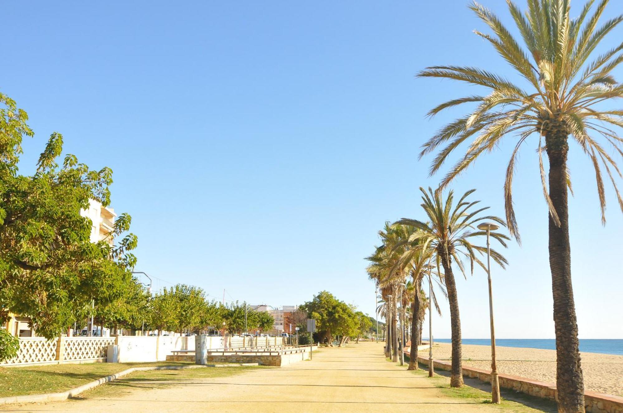 Homeholidaysrentals Palm Beach - Costa Barcelona Canet De Mar Exterior photo